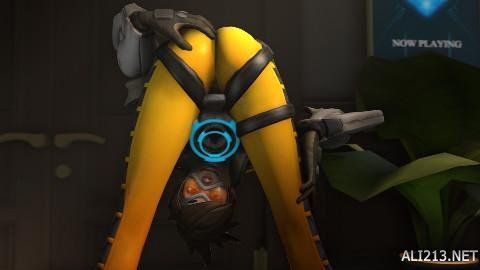 转会市场上 转会市场上